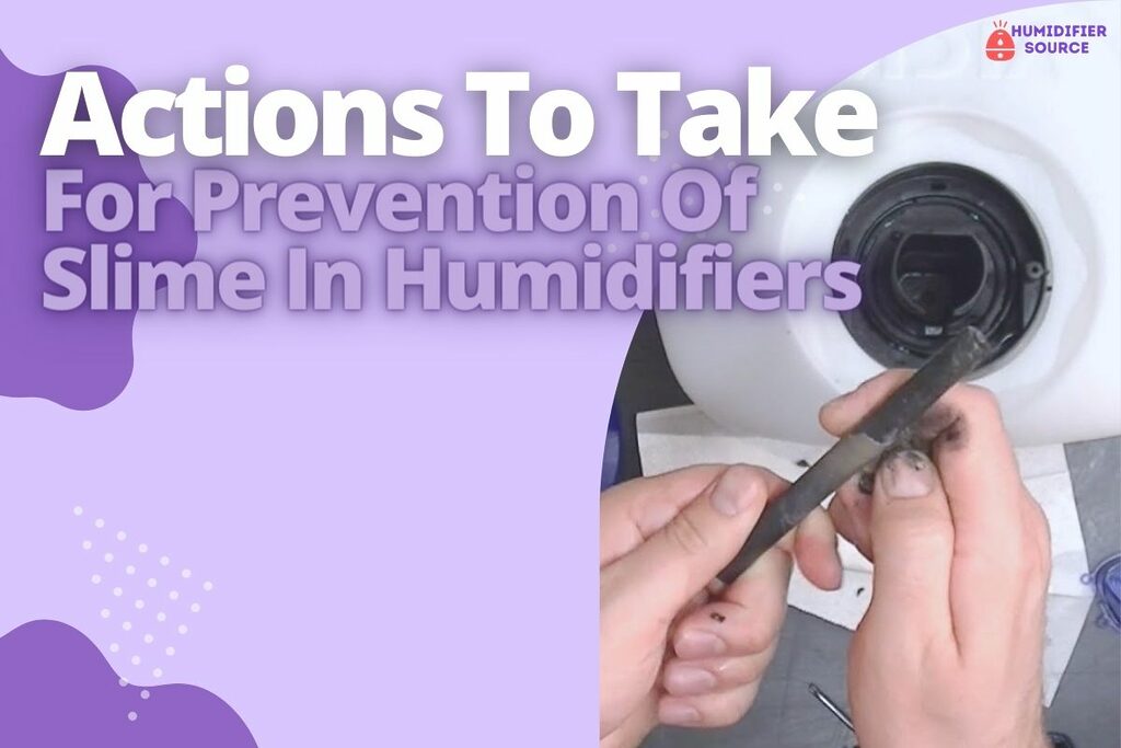 Actions To Take For Prevention Of Slime In Humidifiers