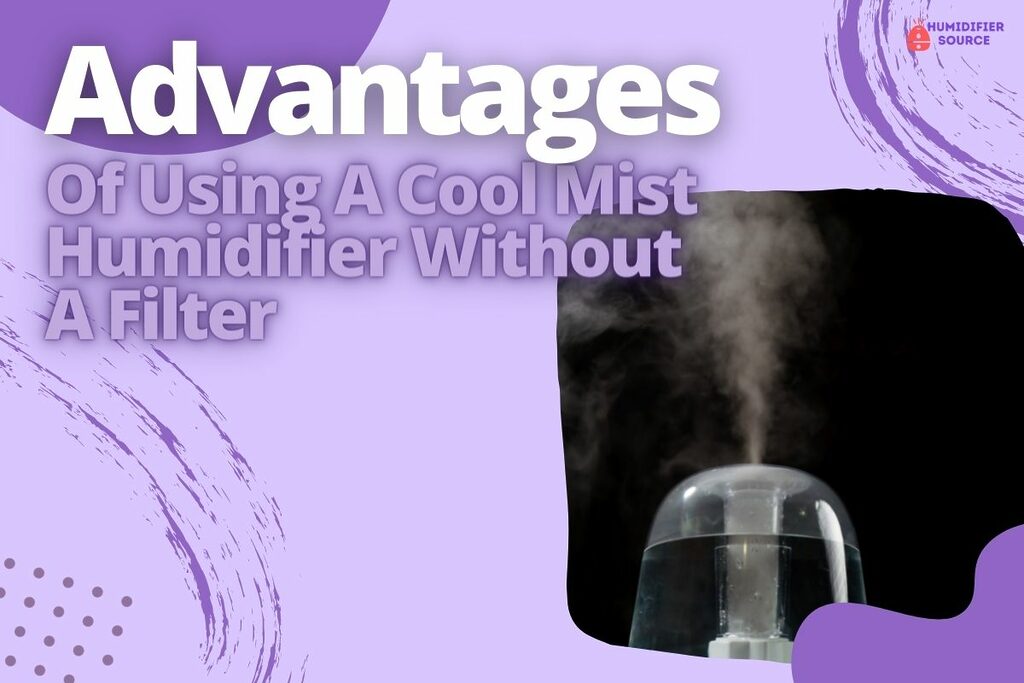 Advantages Of Using A Cool Mist Humidifier Without A Filter