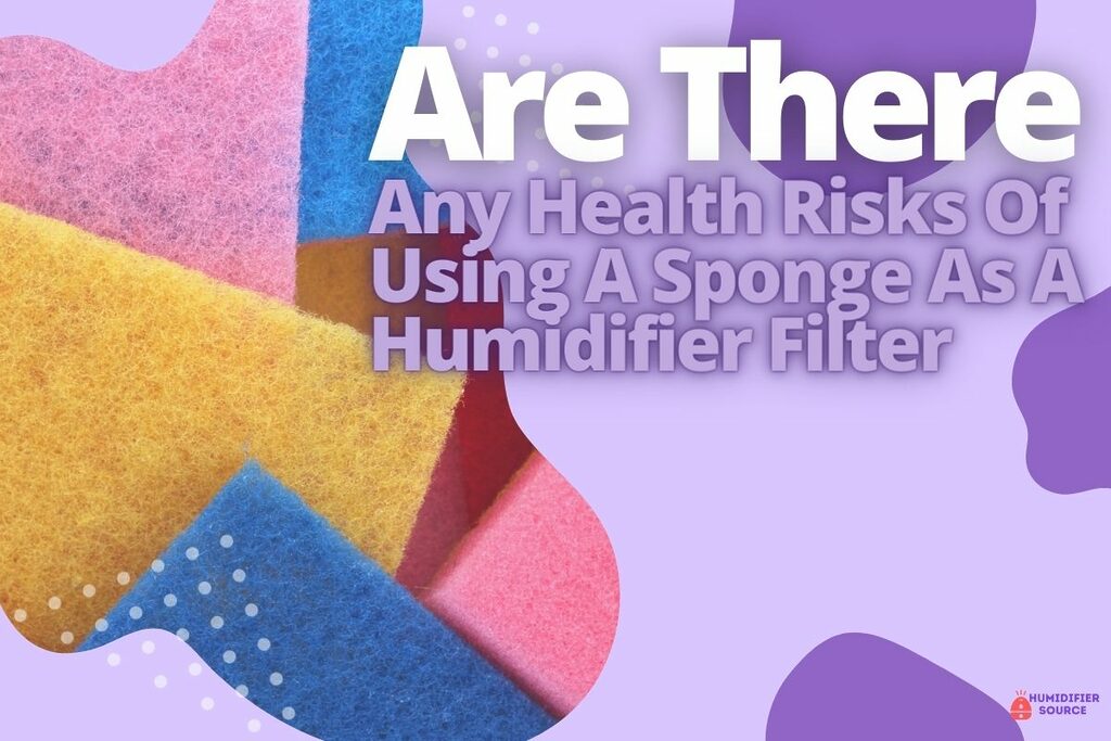 Are There Any Health Risks Of Using A Sponge As A Humidifier Filter
