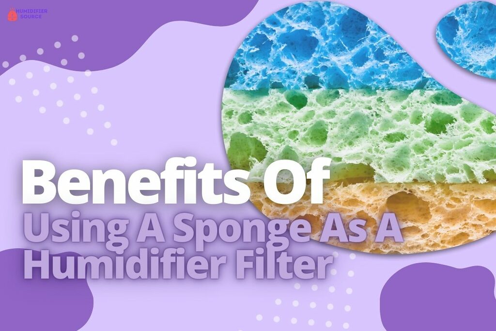 Benefits Of Using A Sponge As A Humidifier Filter