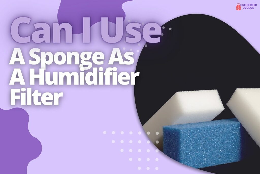 Can I Use A Sponge As A Humidifier Filter