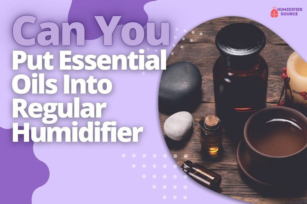 Can You Put Essential Oils Into Regular Humidifier