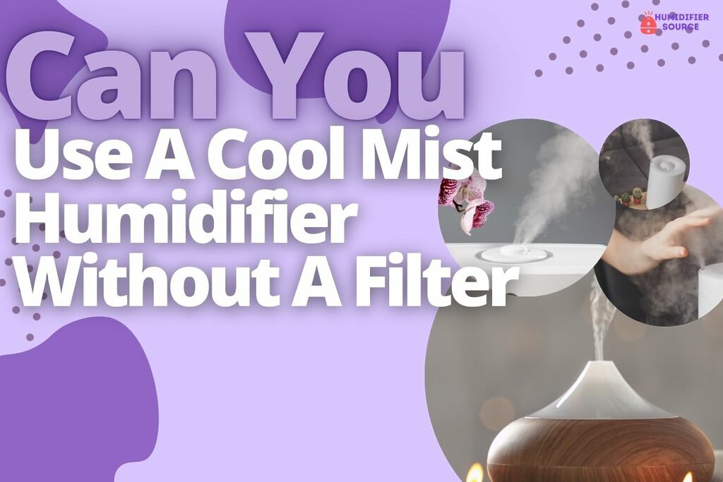 Can You Use A Cool Mist Humidifier Without A Filter