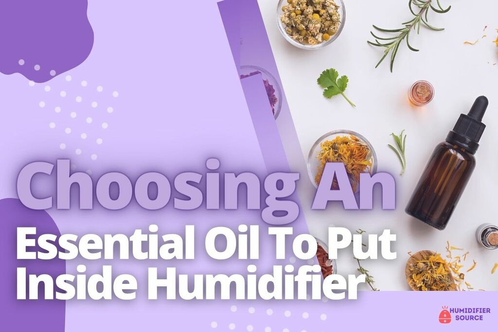 Choosing An Essential Oil To Put Inside Humidifier