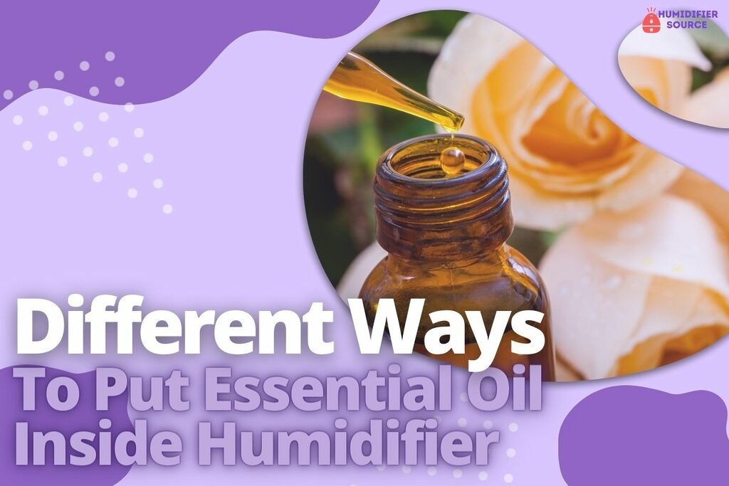Different Ways To Put Essential Oil Inside Humidifier