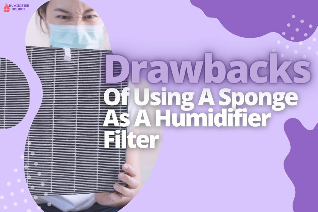Drawbacks Of Using A Sponge As A Humidifier Filter