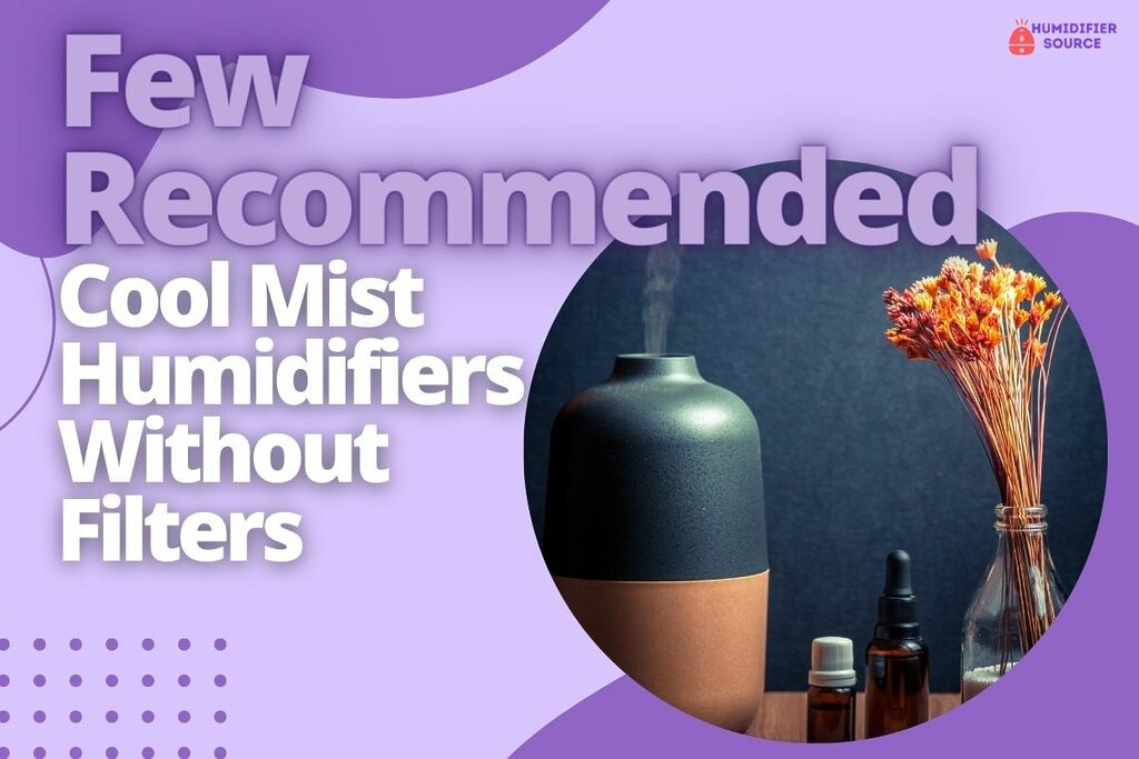 Few Recommended Cool Mist Humidifiers Without Filters