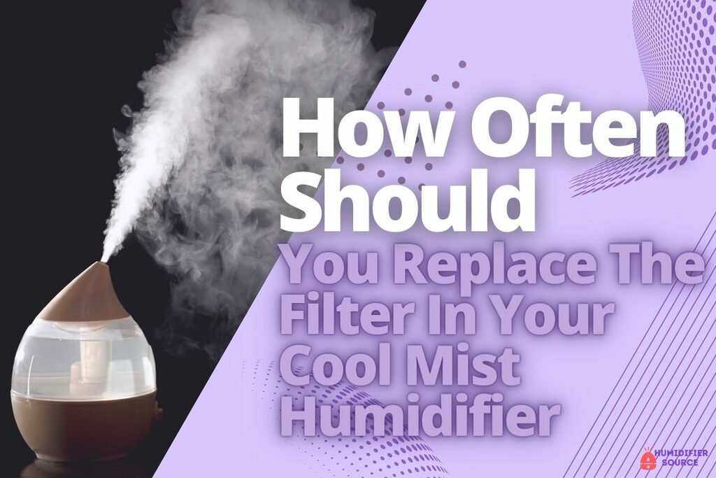 How Often Should You Replace The Filter In Your Cool Mist Humidifier
