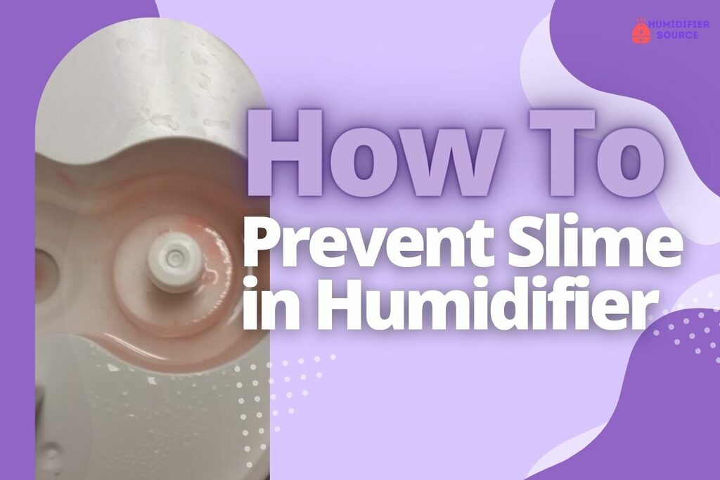 How to Prevent Slime in Humidifier