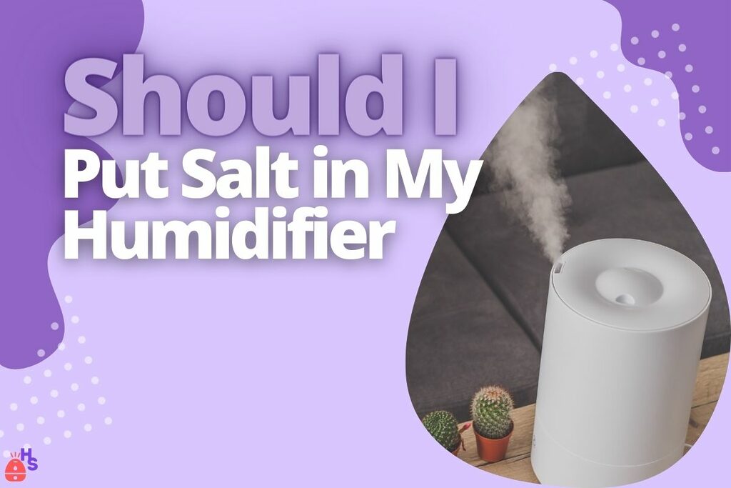 Should I Put Salt in My Humidifier