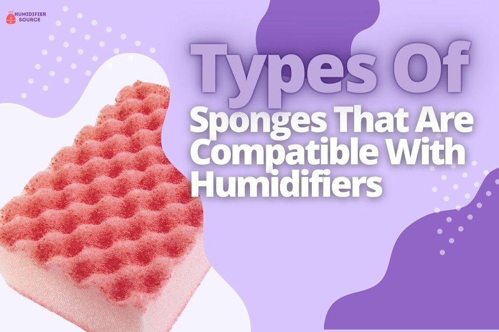 Types Of Sponges That Are Compatible With Humidifiers