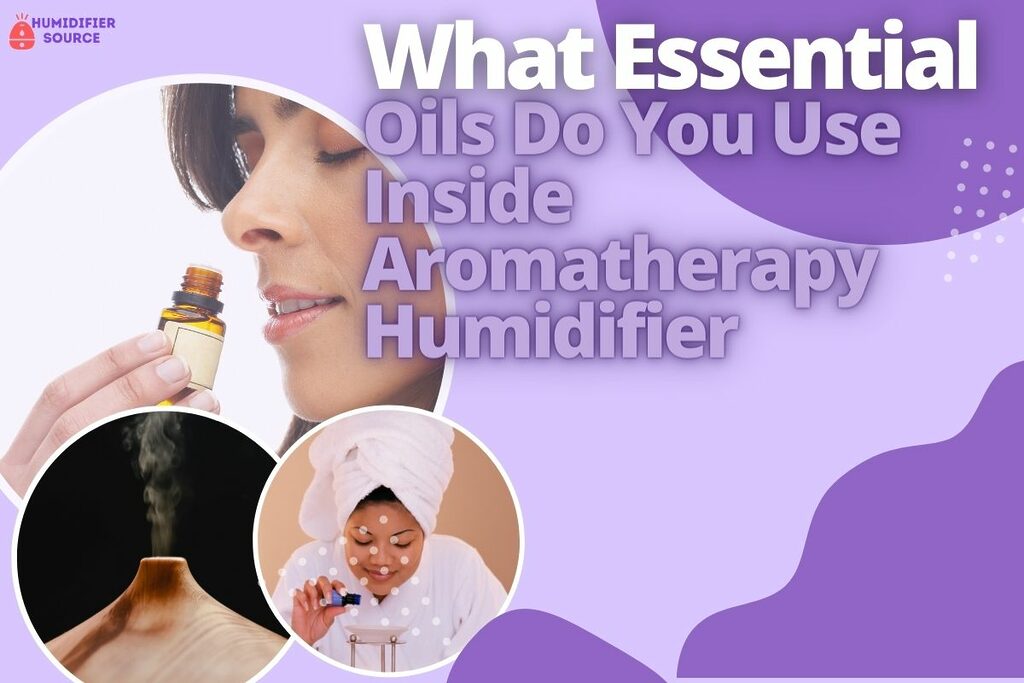 What Essential Oils Do You Use Inside Aromatherapy Humidifier