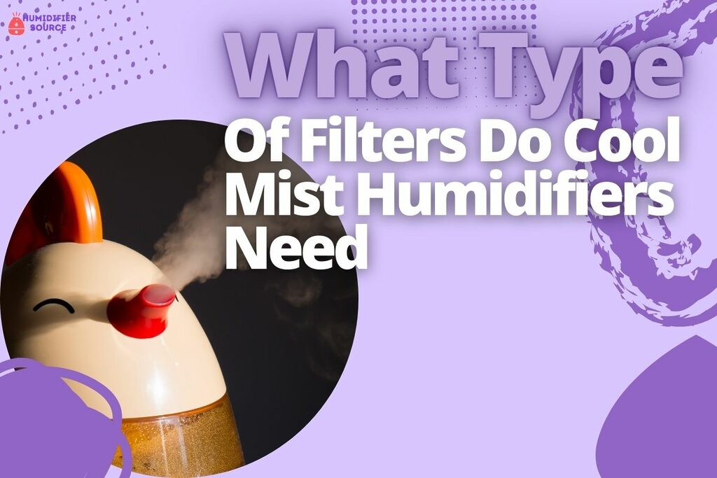 What Type Of Filters Do Cool Mist Humidifiers Need