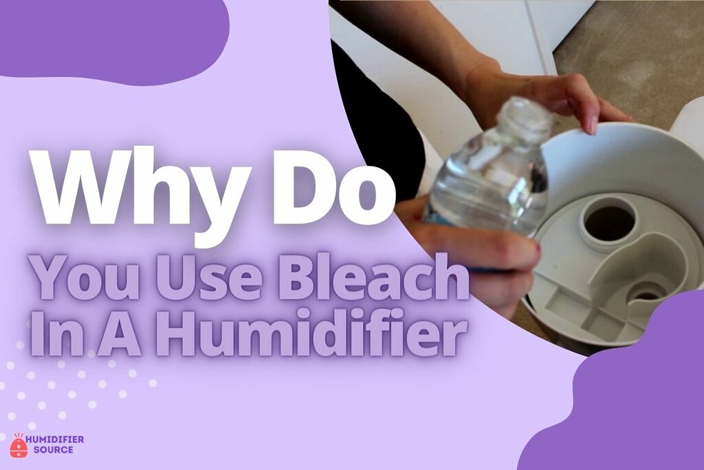 Why Do You Use Bleach In A Humidifier