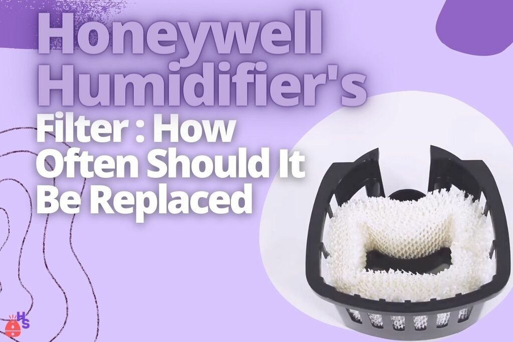 Honeywell Humidifier's Filter_ How Often Should It Be Replaced