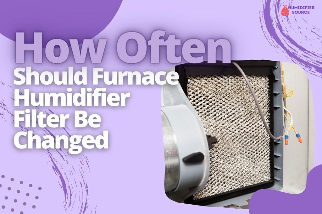 How Often Should Furnace Humidifier Filter Be Changed
