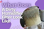 What Does A Dirty Humidifier Filter Look Like