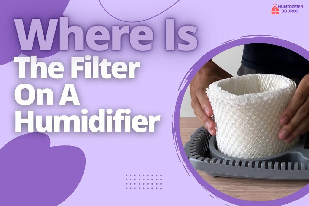Where Is the Filter on A Humidifier