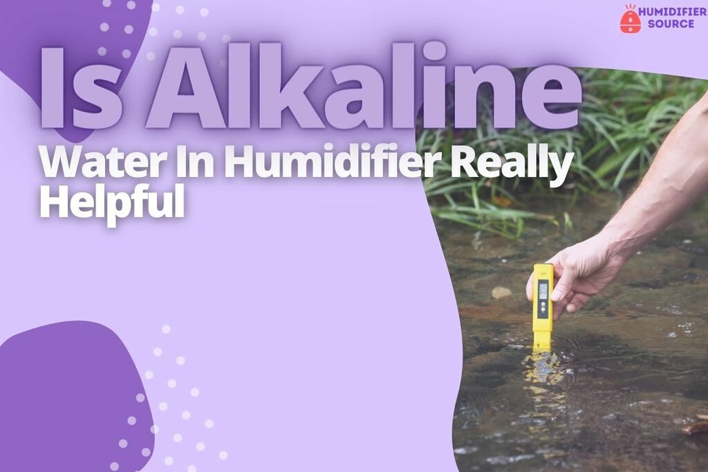 a person testing the alkalinity of water