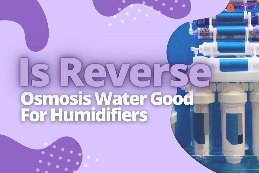 the Reverse Osmosis system
