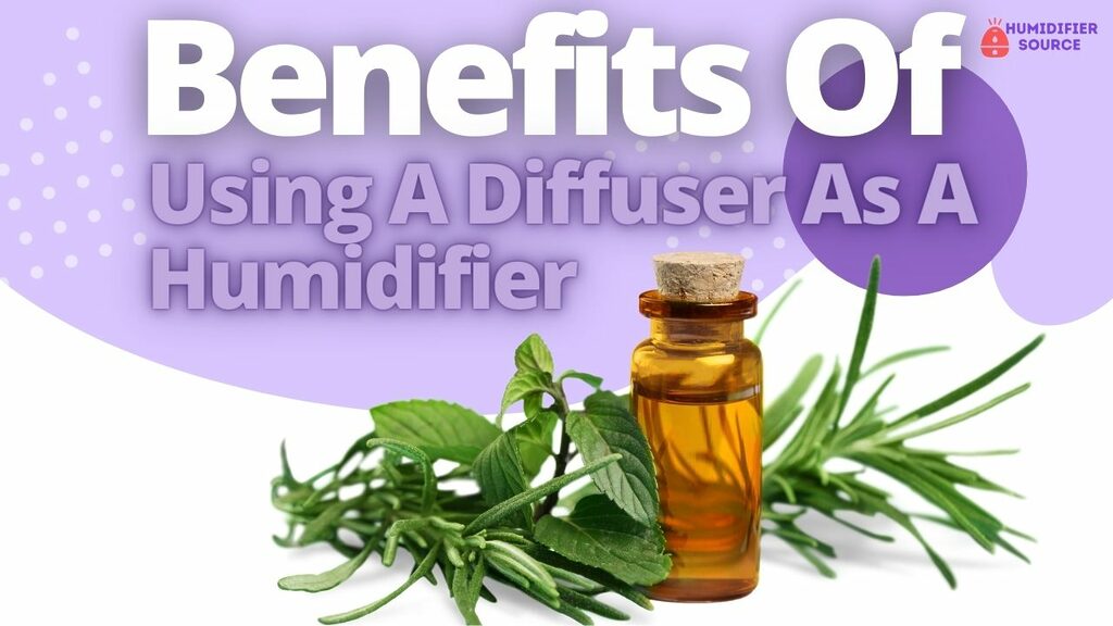 Benefits Of Using A Diffuser As A Humidifier