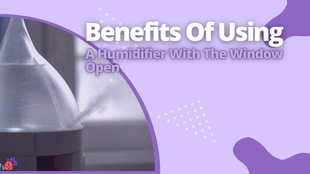 Benefits Of Using A Humidifier With The Window Open