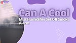 Can A Cool Mist Humidifier Set Off Smoke Alarm