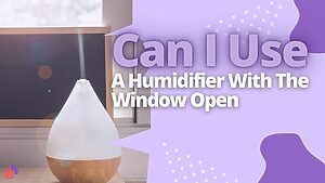 Can I Use A Humidifier With The Window Open