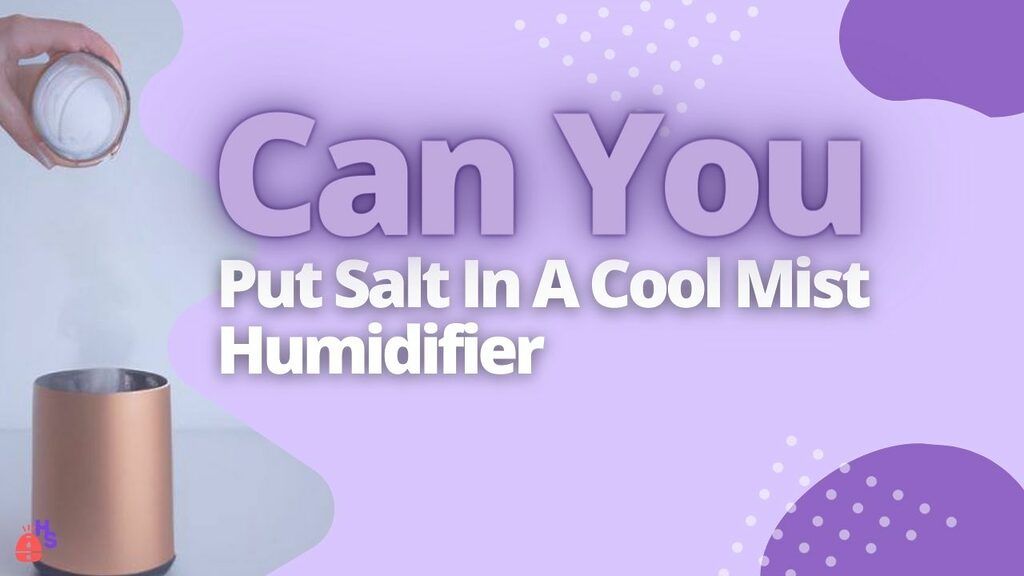 Can You Put Salt In A Cool Mist Humidifier