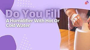 Do You Fill A Humidifier With Hot Or Cold Water