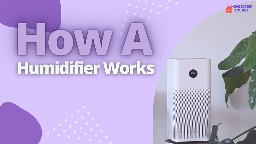 How A Humidifier Works