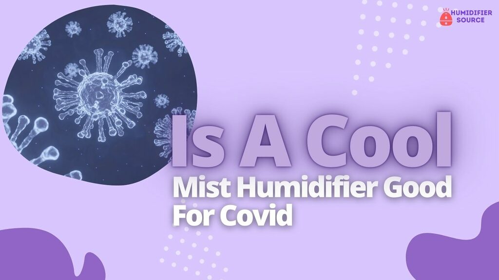 Is A Cool Mist Humidifier Good For Covid