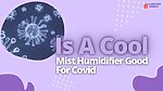 Is A Cool Mist Humidifier Good For Covid