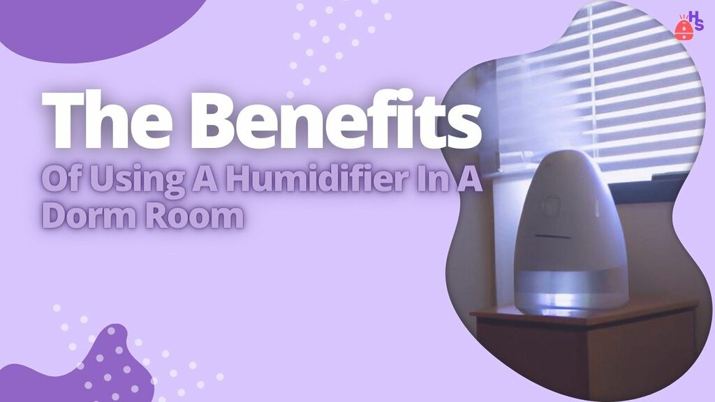The Benefits Of Using A Humidifier In A Dorm Room