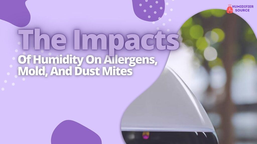 The Impacts Of Humidity On Allergens Mold And Dust Mites